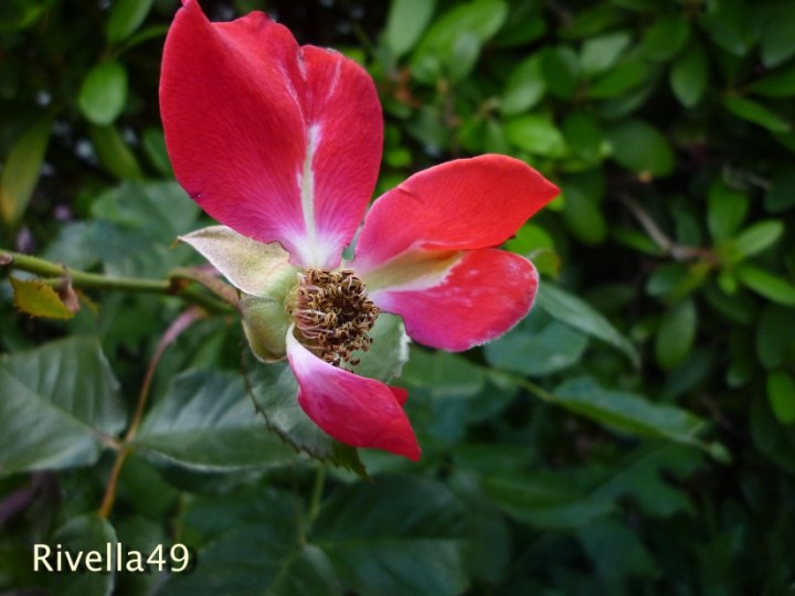 “The past is a foreign country; they do things differently there.” ― L.P. Hartley, The Go-Between