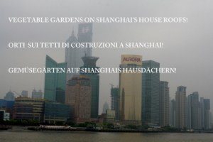 Pudong through my eyes