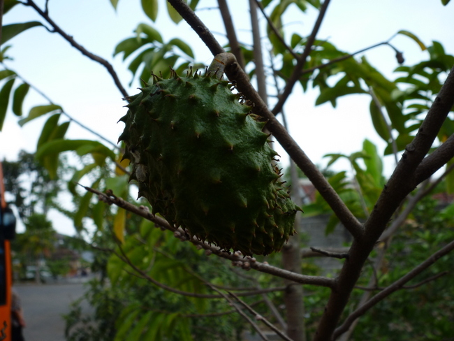 Der Sauersack/JFoto M.Ramsauer