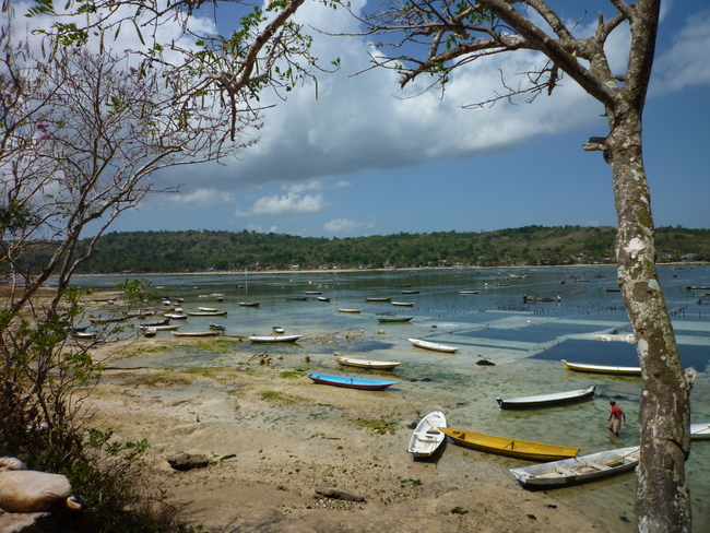 Zur Überfischung in Senegal