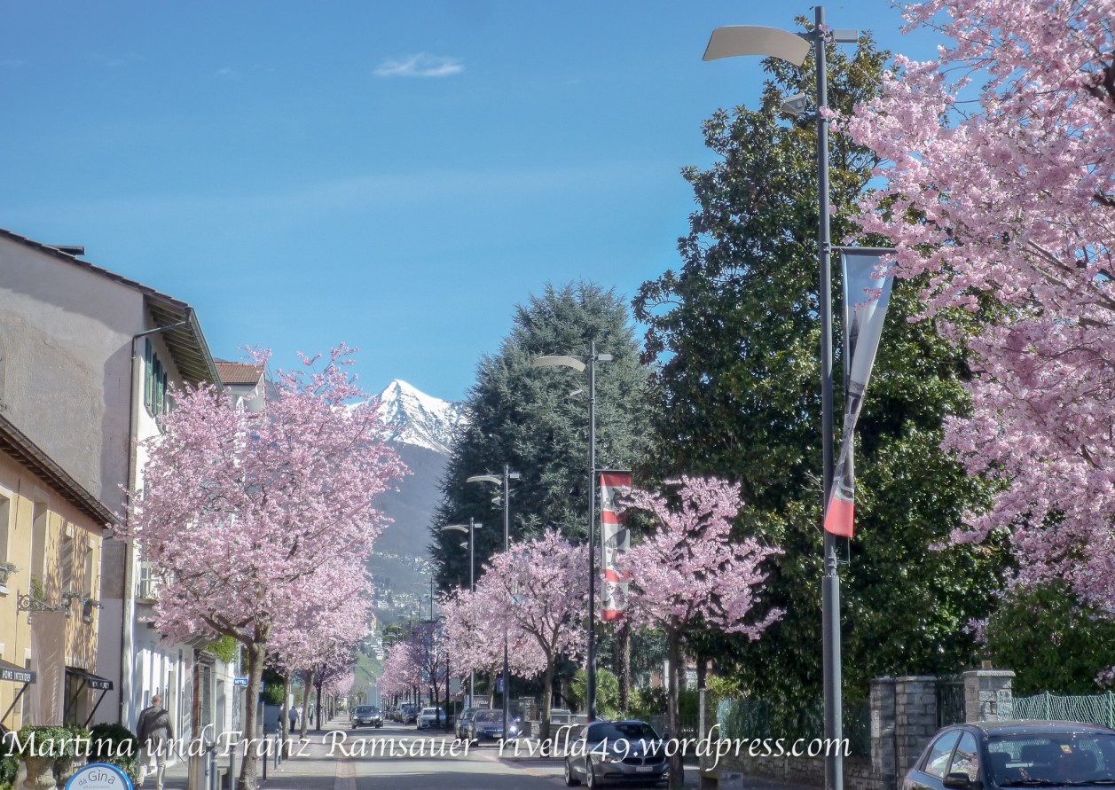 I am my own experiment. I am my own work of art. Ich bin mein eigener Versuch. Ich bin meine eigenes Stück Kunst.