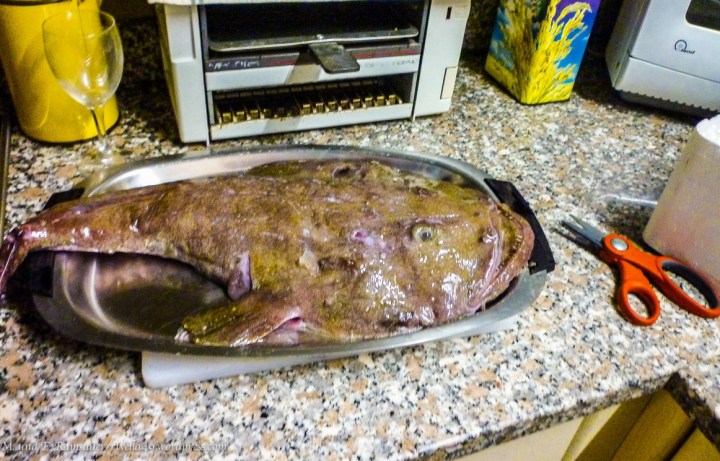 Ein ganzer Seeteufel/la rana pescatrice intera/the entire monkfish.