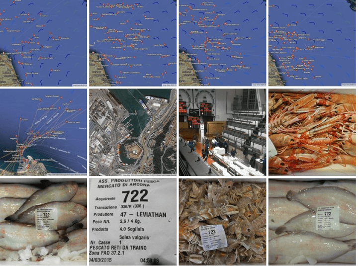 Le offerte di Luca/Lucas Angebote/Luca's offers