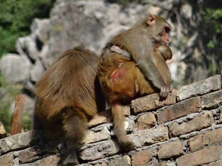 1534312_10152766900873898_3935706460037353986_n