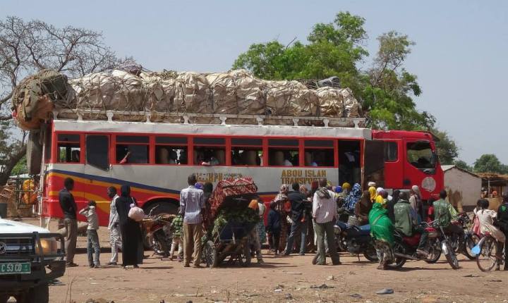 1379209_10152235267163898_172202206_n