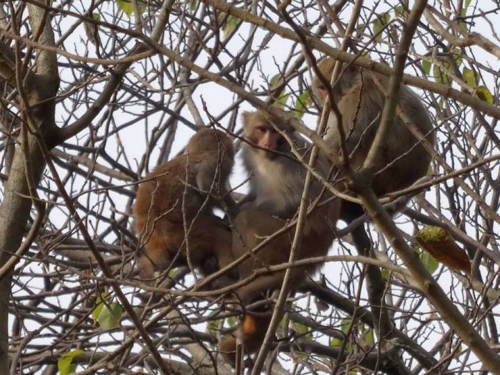 1623291_10152866567633898_2687650895397185557_n