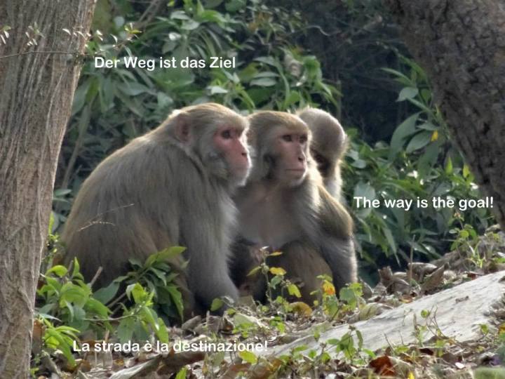 1891256_10152866567298898_5775024715651646917_n