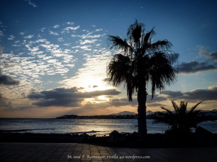 "Oft waren die Häuser vor lauter Palmen kaum zu sehen". Frequently one could hardly see the houses because of the palm trees. Spesso si faceva fatica a vedere le case a causa delle palme.